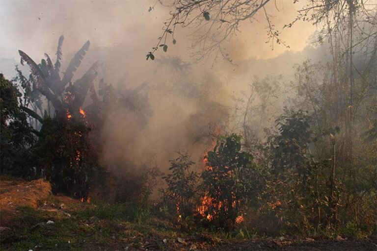 Prefeitura lança campanha de conscientização com fiscalização para combater queimadas e incêndios florestais em Itabira