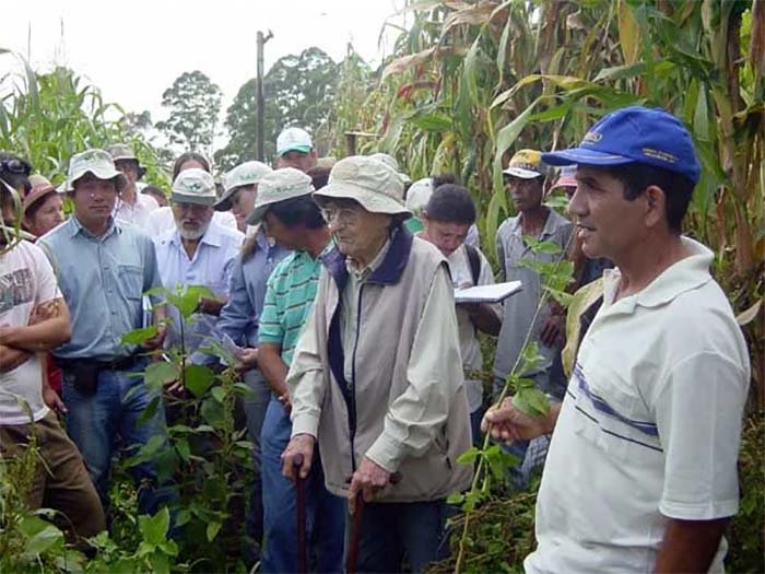 Da terra ao prato: como a oferta de alimentação escolar está mudando a agricultura familiar no Brasil