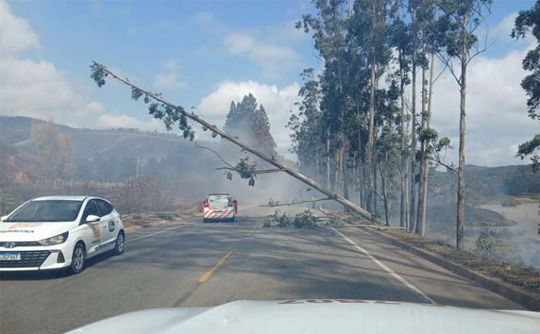 Incêndios florestais causam mal à saúde, interditam rodovia em Itabira com o tombamento de árvores de grande porte