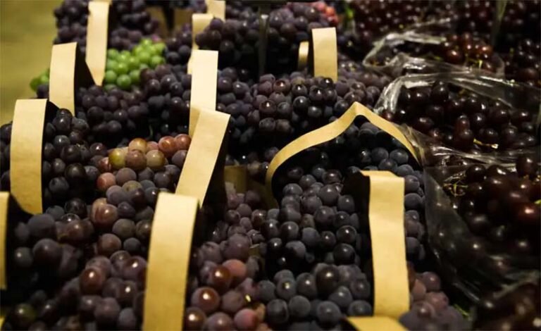 Uvas Frescas, um superalimento com 1.600 compostos benéficos