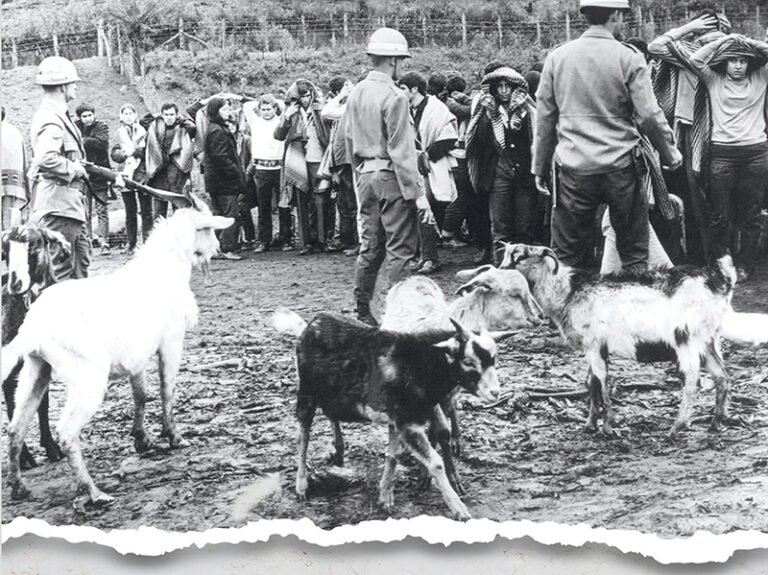 Os bastidores da maior prisão política em massa da história brasileira
