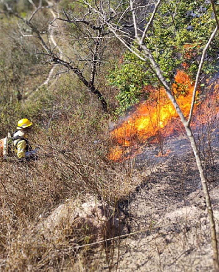 Dias piores virão se os piromaníacos não forem identificados e punidos por colocarem fogo no mato seco em Itabira