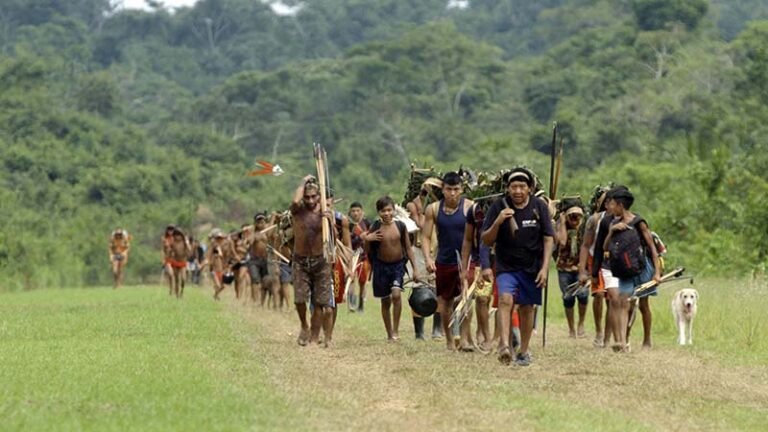 Mostra Imagem dos Povos – edição SalvaTerra anuncia programação na comunidade de Casa Branca, em Brumadinho