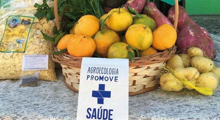 Agroecologia combate a fome e promove a saúde pública