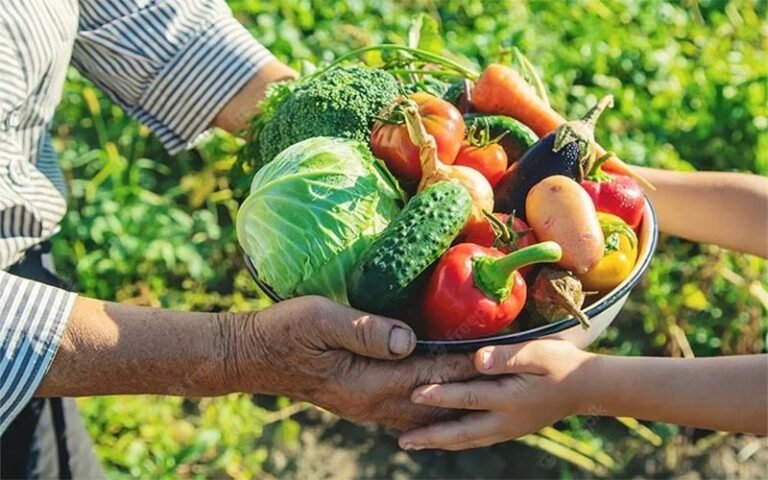 Alfabetização agroecológica com base em Paulo Freire