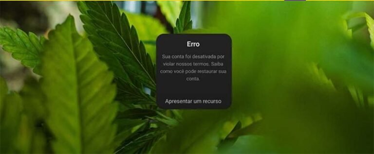 Meta suspende perfis de cannabis do Instagram sem justificativa