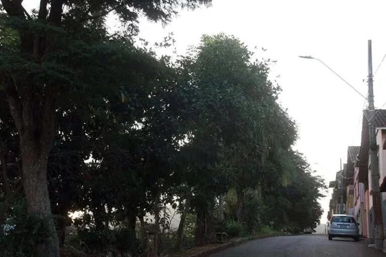 Por uma Itabira mais verde para transformar a paisagem urbana e garantir segurança hídrica com revitalização de nascentes
