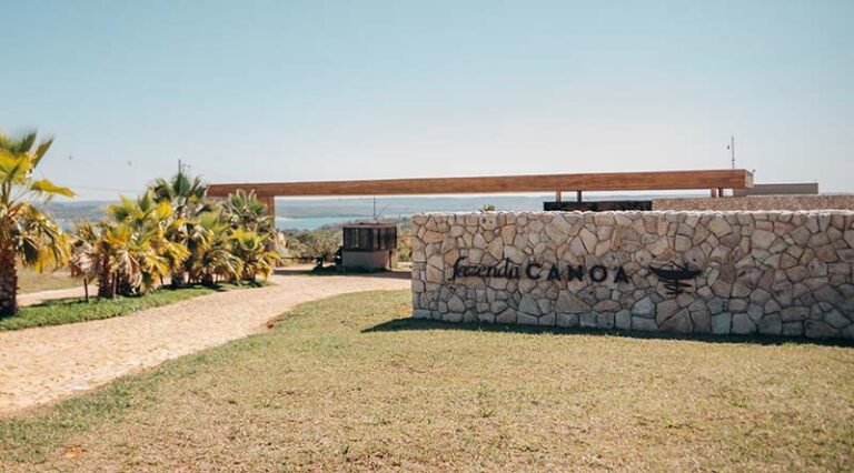 Enólogo aponta viabilidade de vinhos de alto padrão no Cerrado