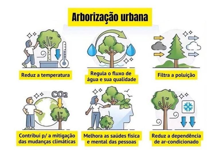 Arborização urbana salva vidas e reduz o calor extremo
