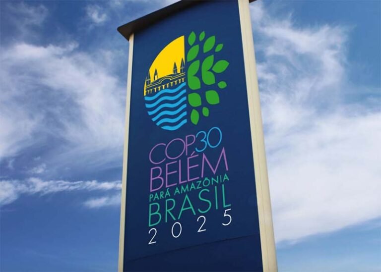 Greenwashing: por que essa prática pode impactar investimentos pós COP30?