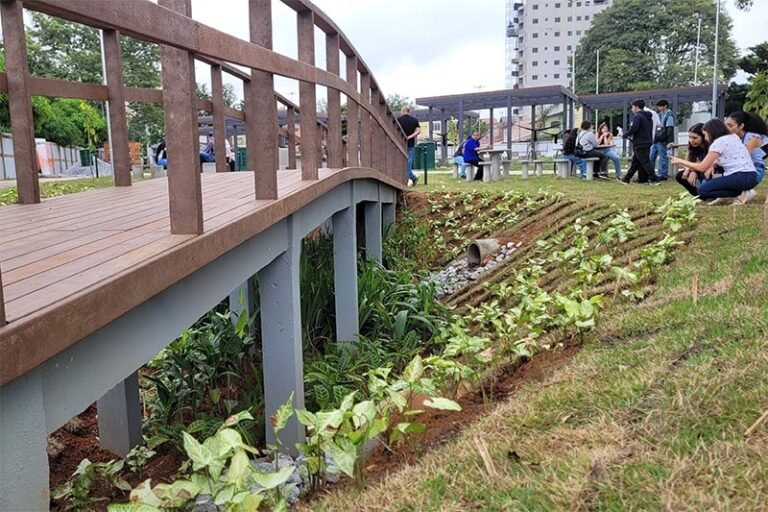 Jardins de chuva: solução verde que transforma drenagem urbana