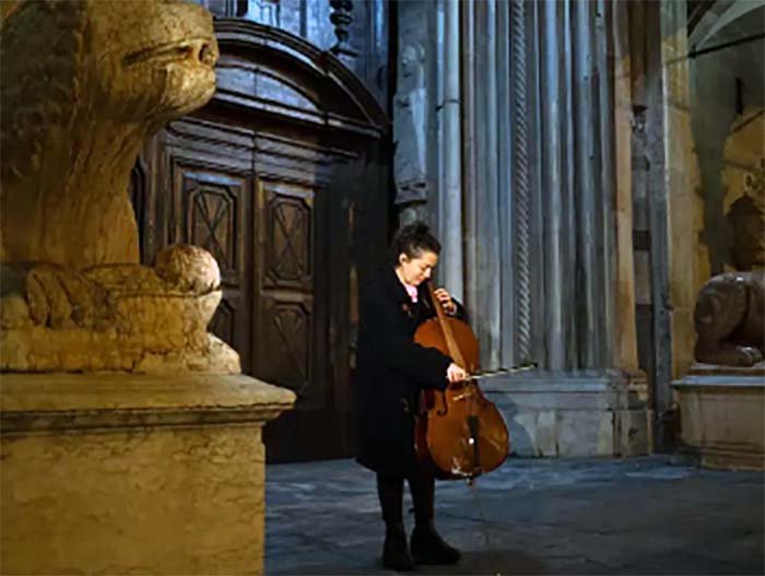Pau-brasil: o tesouro nacional cobiçado pela indústria da música clássica