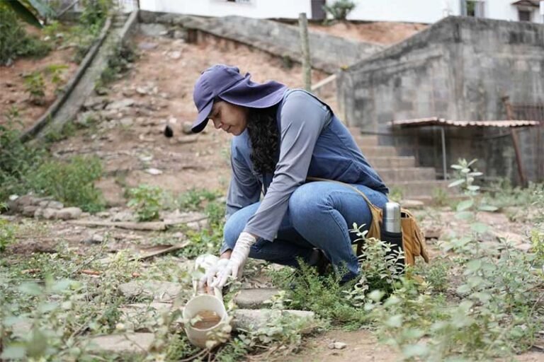 População precisa se unir e agir para evitar surto de dengue em Itabira