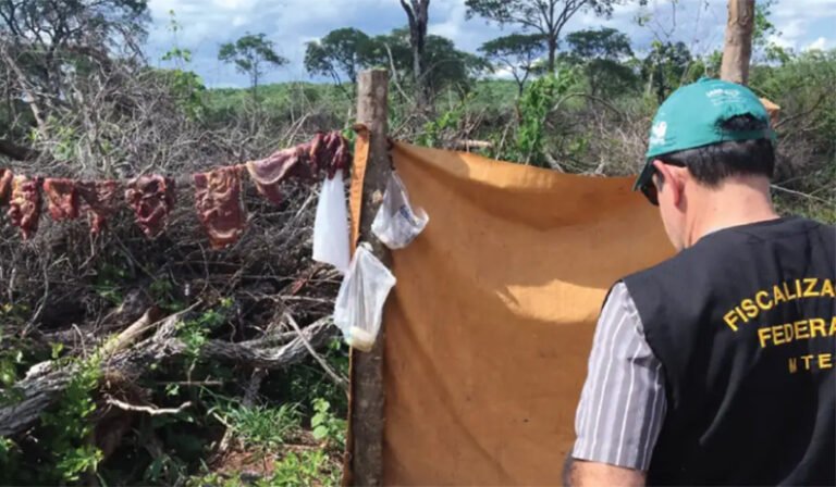 Paralisação de auditores trava operações às vésperas do Dia de Combate ao Trabalho Escravo