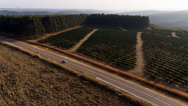 Cafés da região da Chapada de Minas conquistam Indicação Geográfica