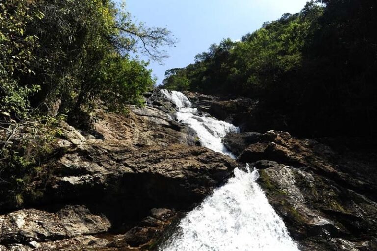 Parque Estadual Mata do Limoeiro lança Guia de Atrativos na programação de 15 anos da unidade