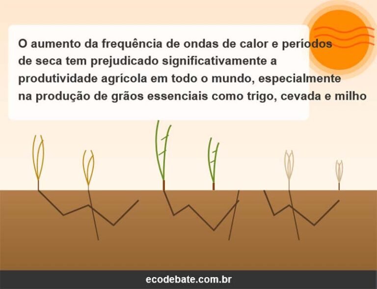 Ondas de calor e secas serão cinco vezes mais frequentes até o final do século