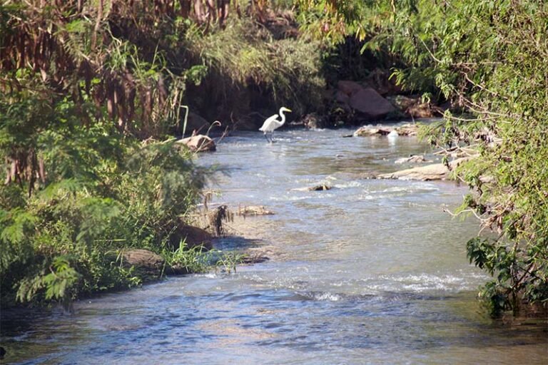 A má priorização de projetos e recursos compromete a universalização do saneamento no Brasil