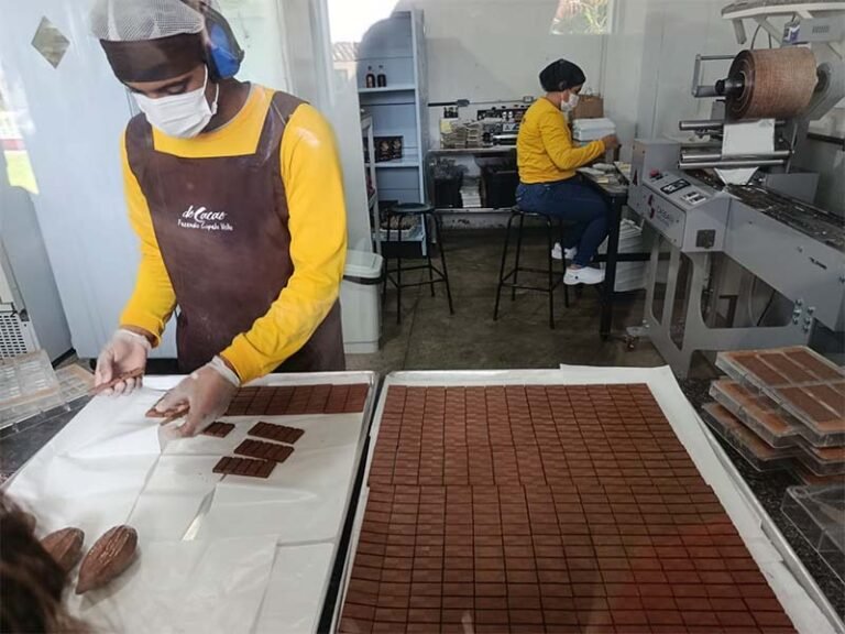 Nova lei do chocolate acirra disputa entre indústria e produtores de cacau
