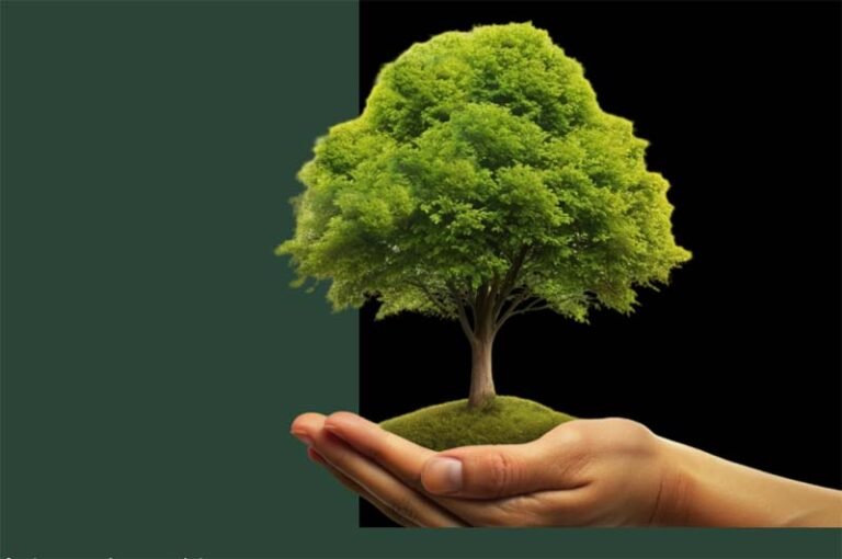 Acordo Mercosul União Europeia abre mercado, mas ESG será o novo filtro de entrada
