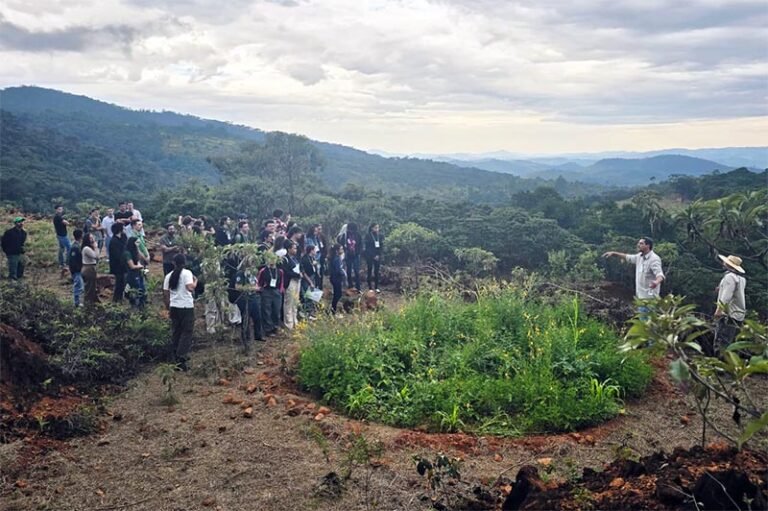 Parque Estadual Mata do Limoeiro celebra 15 anos de resistência, ciência e pertencimento