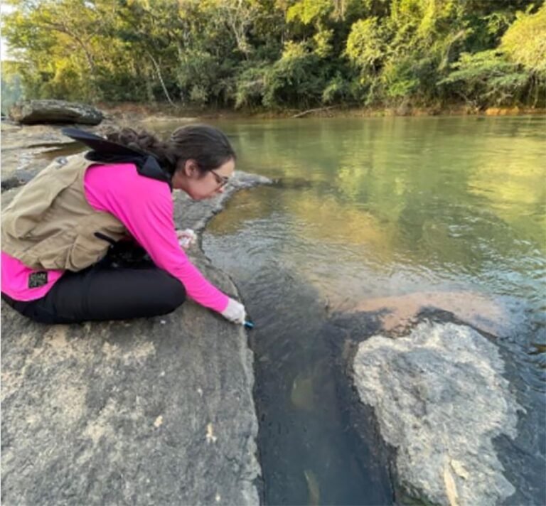 Desastre de Mariana favoreceu espécies invasoras no Rio Doce