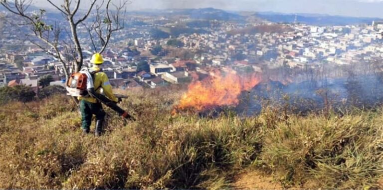 Queimadas e incêndios florestais ameaçam a saúde em Itabira, que precisa de mais árvores