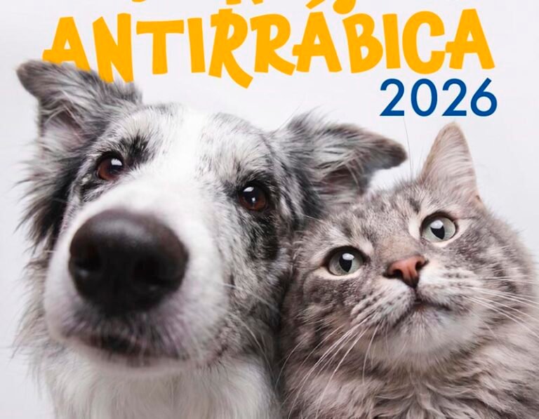 Prefeitura de Itabira amplia vacinação antirrábica a partir de sábado (15)