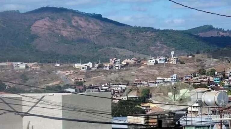 Nesta data em que é celebrado o Dia da Árvore, Itabira permanece com uma das menores taxas de arborização urbana do país