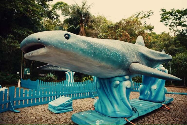 Como espaço de educação ambiental, Mata do Intelecto abre a exposição “O Fantástico Mundo Marinho”, neste domingo (18)
