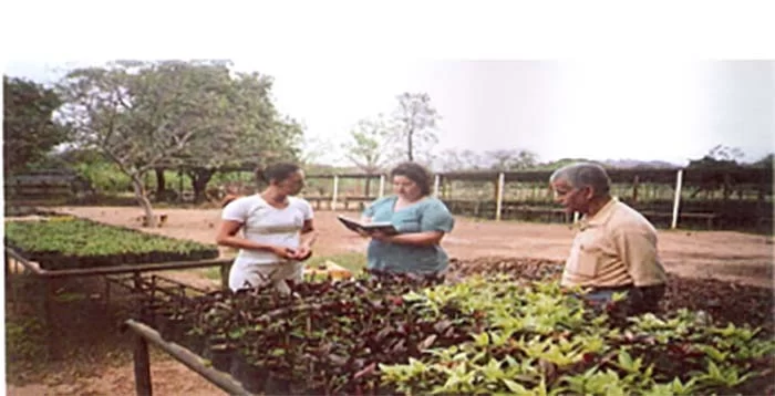 Câmara de Itabira aprova projeto que institui o programa de Práticas Integrativas e Complementares em Saúde