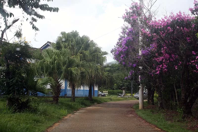 Passar um tempo na natureza promove o desenvolvimento da primeira infância