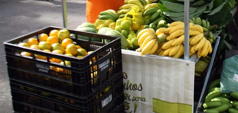 Agroecologia ganha força em Itabira com a Apafi e comercialização de cestas entregues em domicílio