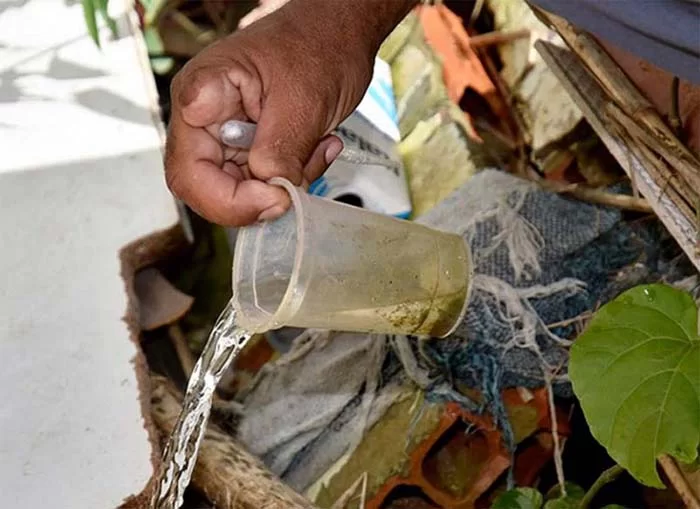 Mesmo no outono, Itabira continua em risco de ter surto de doenças provocadas pelo mosquito Aedes aegypti