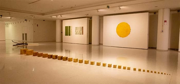 Quando arte e ciência caminham juntas, a Amazônia revive