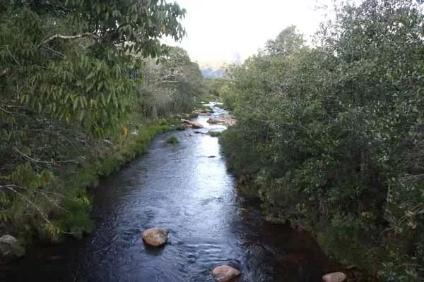 Sem tratamento coletivo de esgoto e crescimento desordenado ameaçam nascentes do rio Tanque em Serra dos Alves