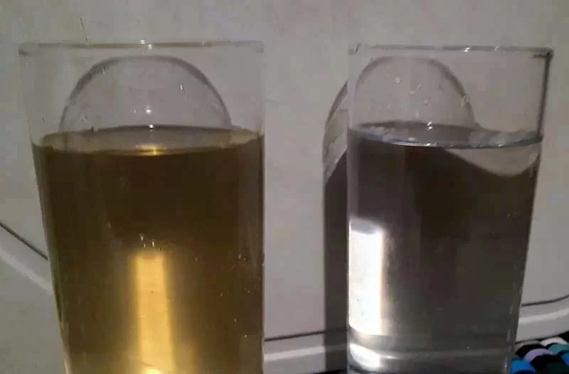 Água limpa e acessível é absolutamente essencial