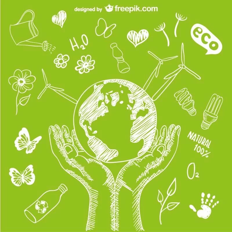 Soluções baseadas na natureza podem promover a sustentabilidade planetária