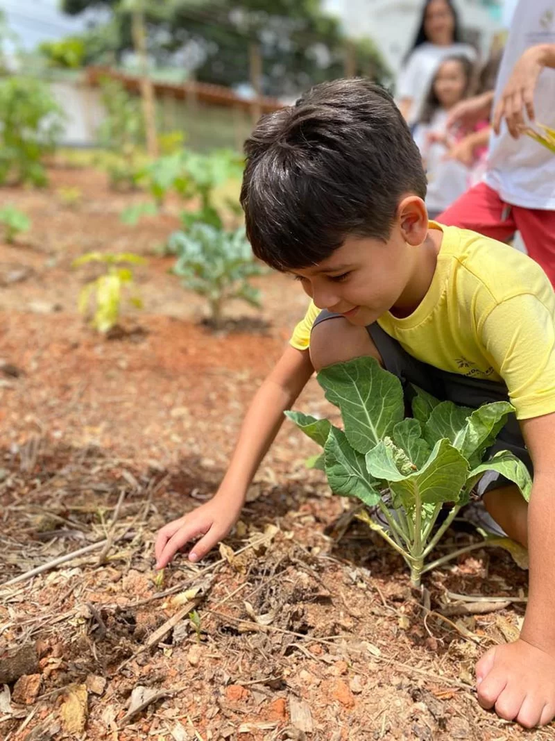 A importância da alfabetização ambiental, a experiência na Casa Fundamental