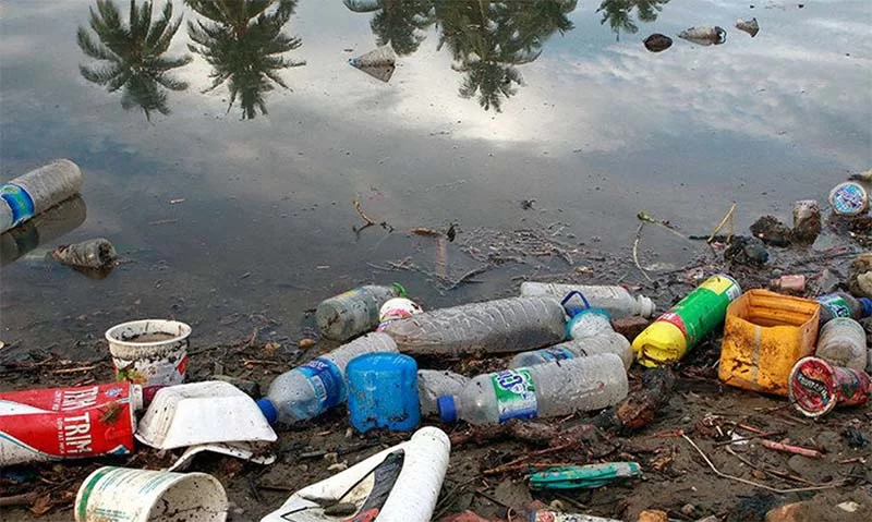 Plásticos Biodegradáveis Fake: a natureza não agradece