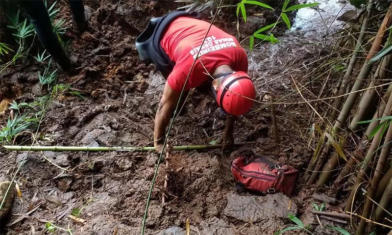 Lei de crimes ambientais tem penas muito brandas