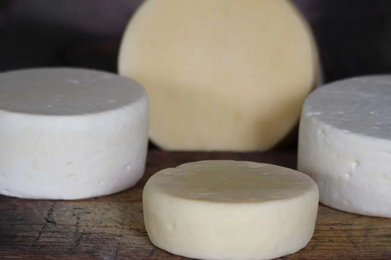 Senac em Minas lança e-book gratuito sobre Queijo Minas Artesanal