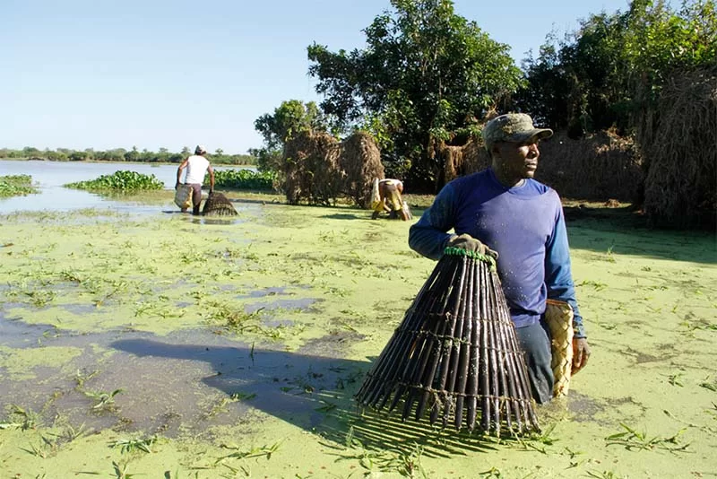 Estreia do filme Servidão terá debate no Cine Sesc-SP sobre os 20 anos da Chacina de Unaí, Minas Gerais