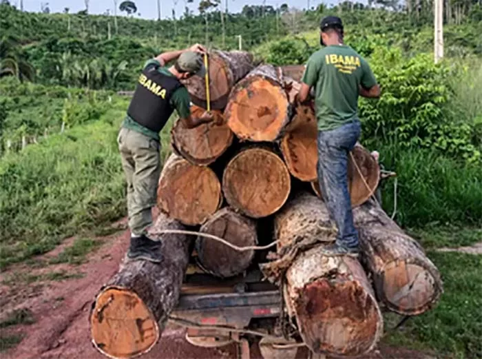 Multas por desmatamento na Amazônia caem 90% em janeiro com greve de fiscais do Ibama