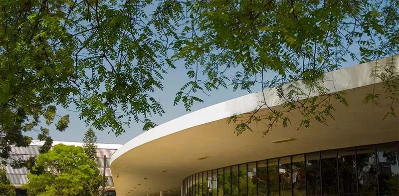 Pintura de Sérgio Milliet recém integrada ao acervo do MAM São Paulo é exibida na Biblioteca