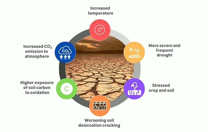 Secas mudam o solo e aumentam a emissão de carbono