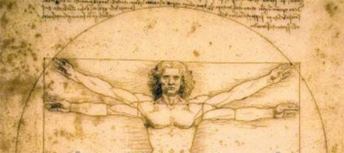 Como diferenciar as áreas de exatas, humanas, biológicas e artes na escolha da profissão