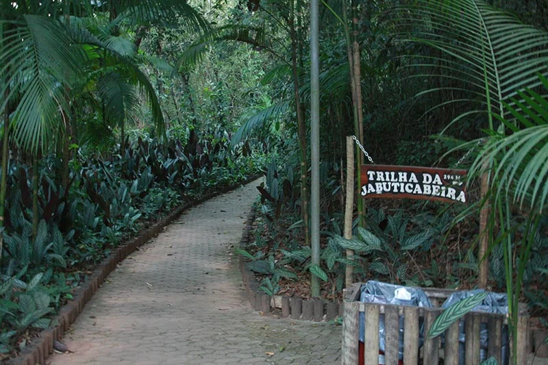 Crise ambiental e soluções baseadas na natureza: propostas e reflexão no Dia da Terra