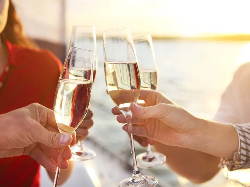 Dia Nacional do Vinho celebra o mercado vinícola brasileiro