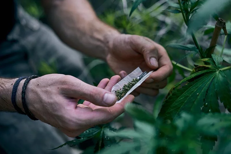 Decisão do STF anula condenações e processos por porte de maconha, diz jurista